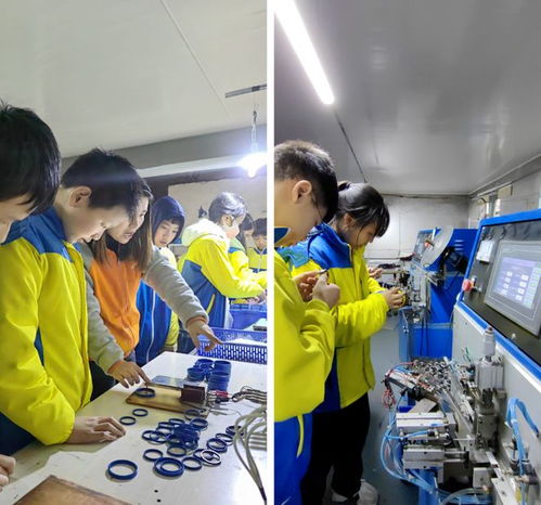 江西宜春 走进工厂车间，探索劳动教育新途径