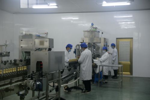 新农菁英训练营 理论学习、实地教学与观摩学习三位一体，赋能乡村振兴新力量