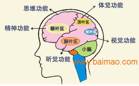 探索早尚好学能研究中心 临沂全脑开发与临沭感统教育的理想之选